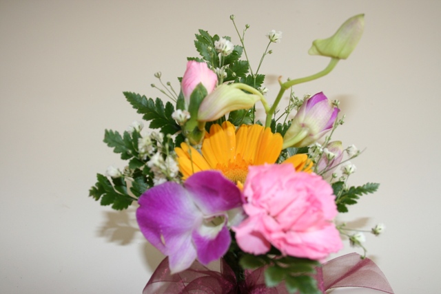 ファイル 102-1.jpg