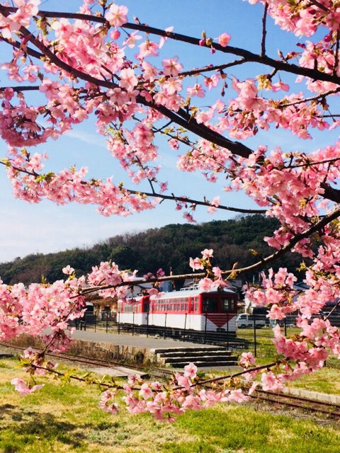 ファイル 1046-1.jpg