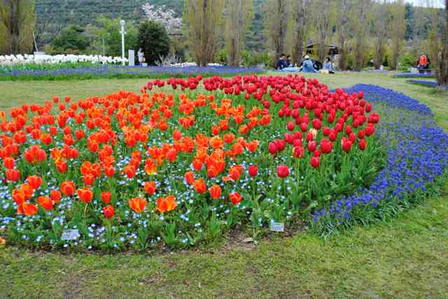 ファイル 112-2.jpg