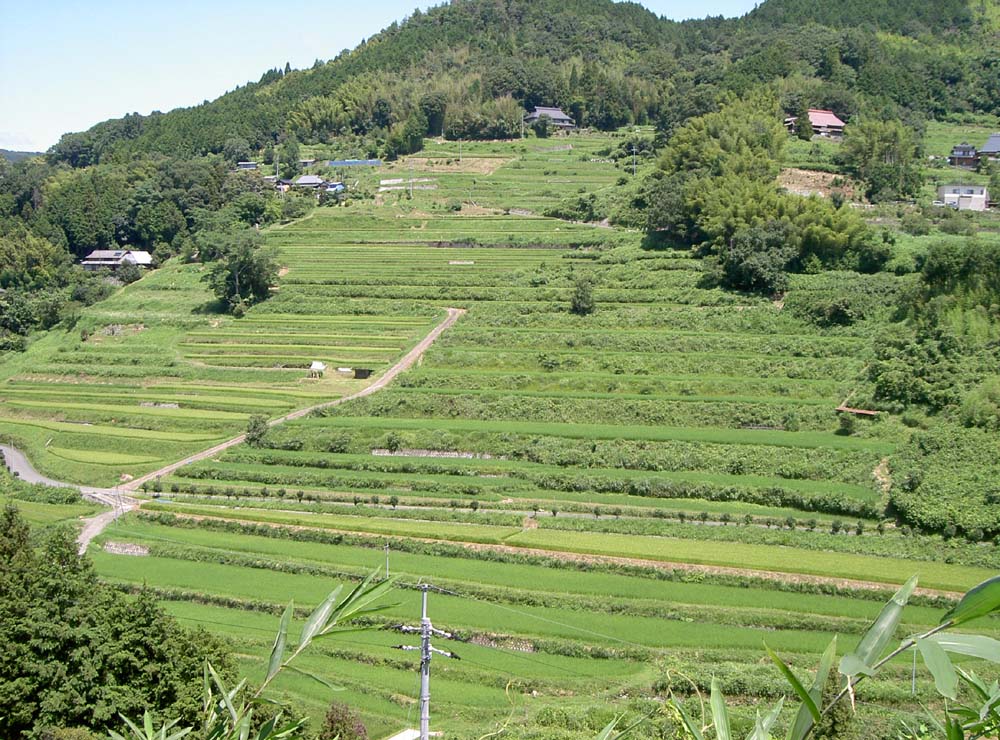 ファイル 12-2.jpg