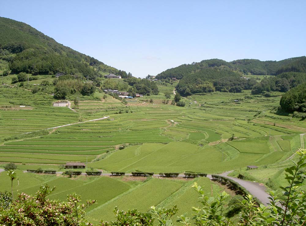 ファイル 12-3.jpg