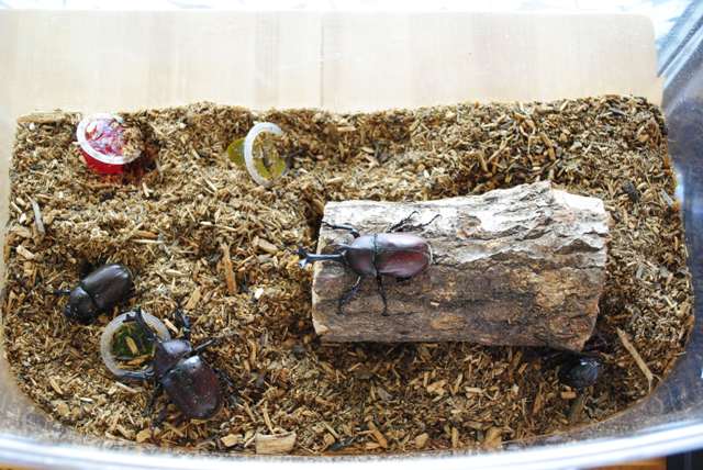 ファイル 139-1.jpg