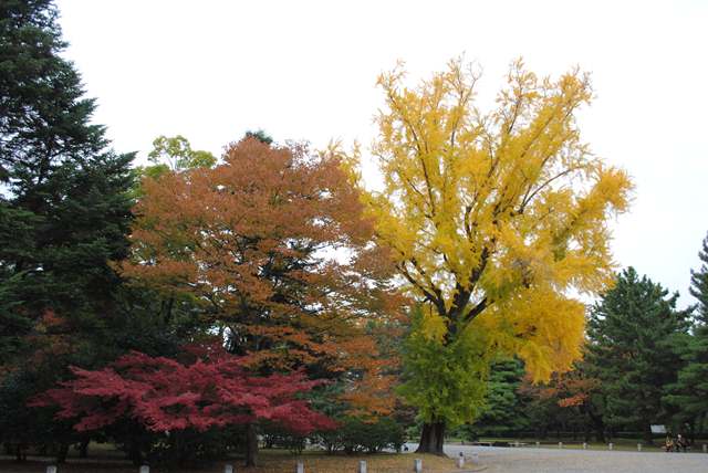 ファイル 163-3.jpg