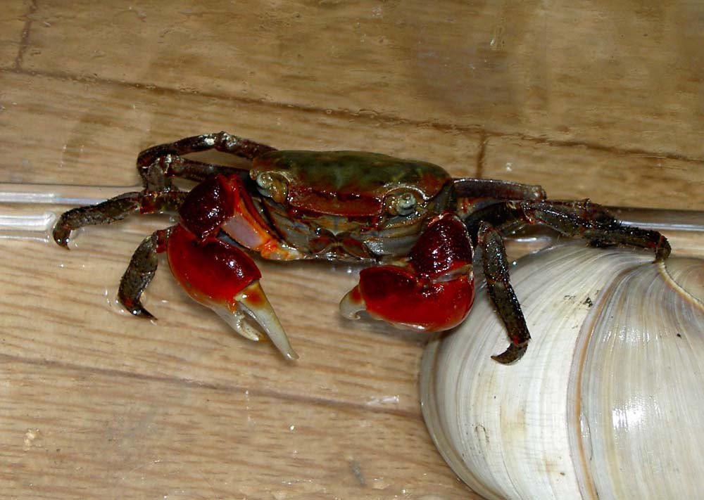 ファイル 19-1.jpg