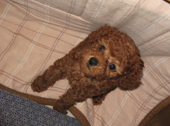 ファイル 196-1.jpg