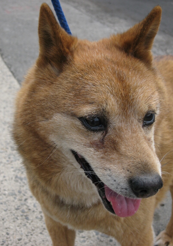 ファイル 198-2.jpg