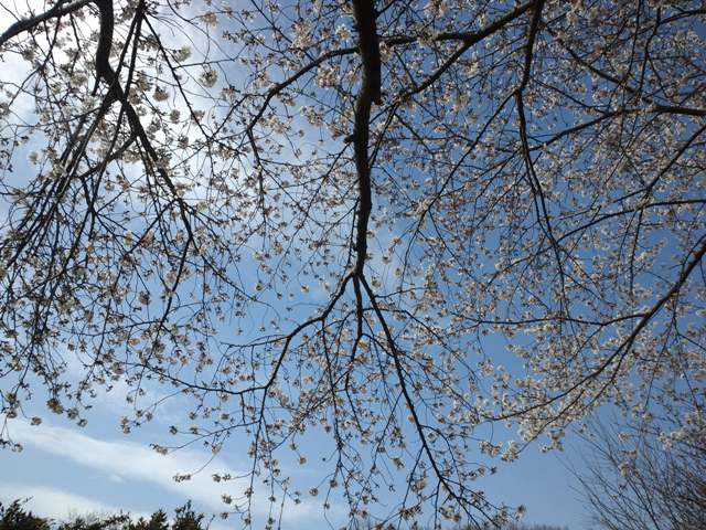 ファイル 199-1.jpg