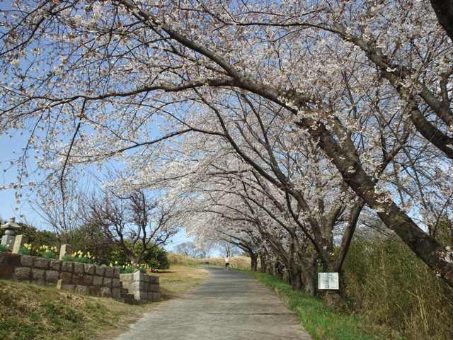 ファイル 199-3.jpg