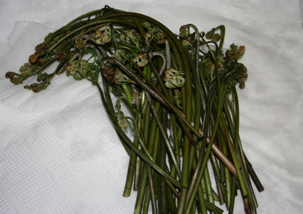 ファイル 205-2.jpg