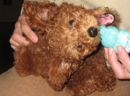 ファイル 209-1.jpg