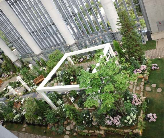 ファイル 215-1.jpg