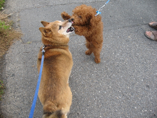 ファイル 216-3.jpg