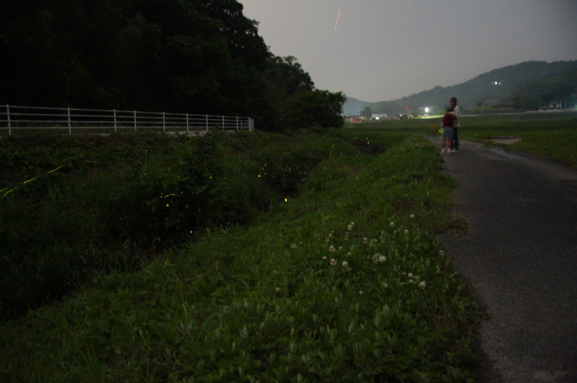 ファイル 225-1.jpg