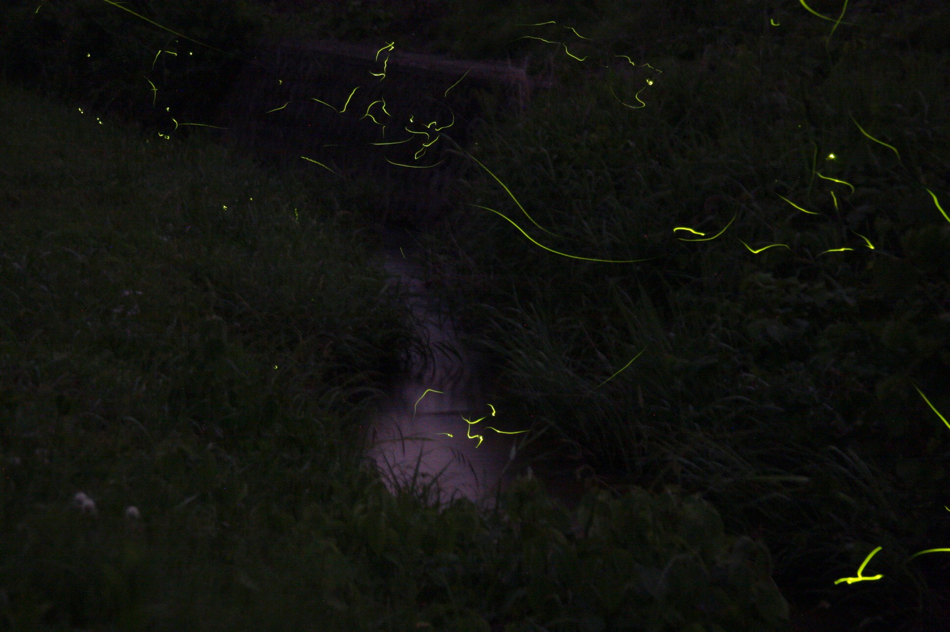 ファイル 225-3.jpg