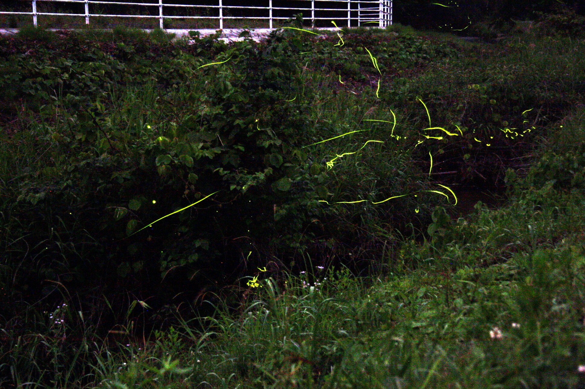 ファイル 225-4.jpg