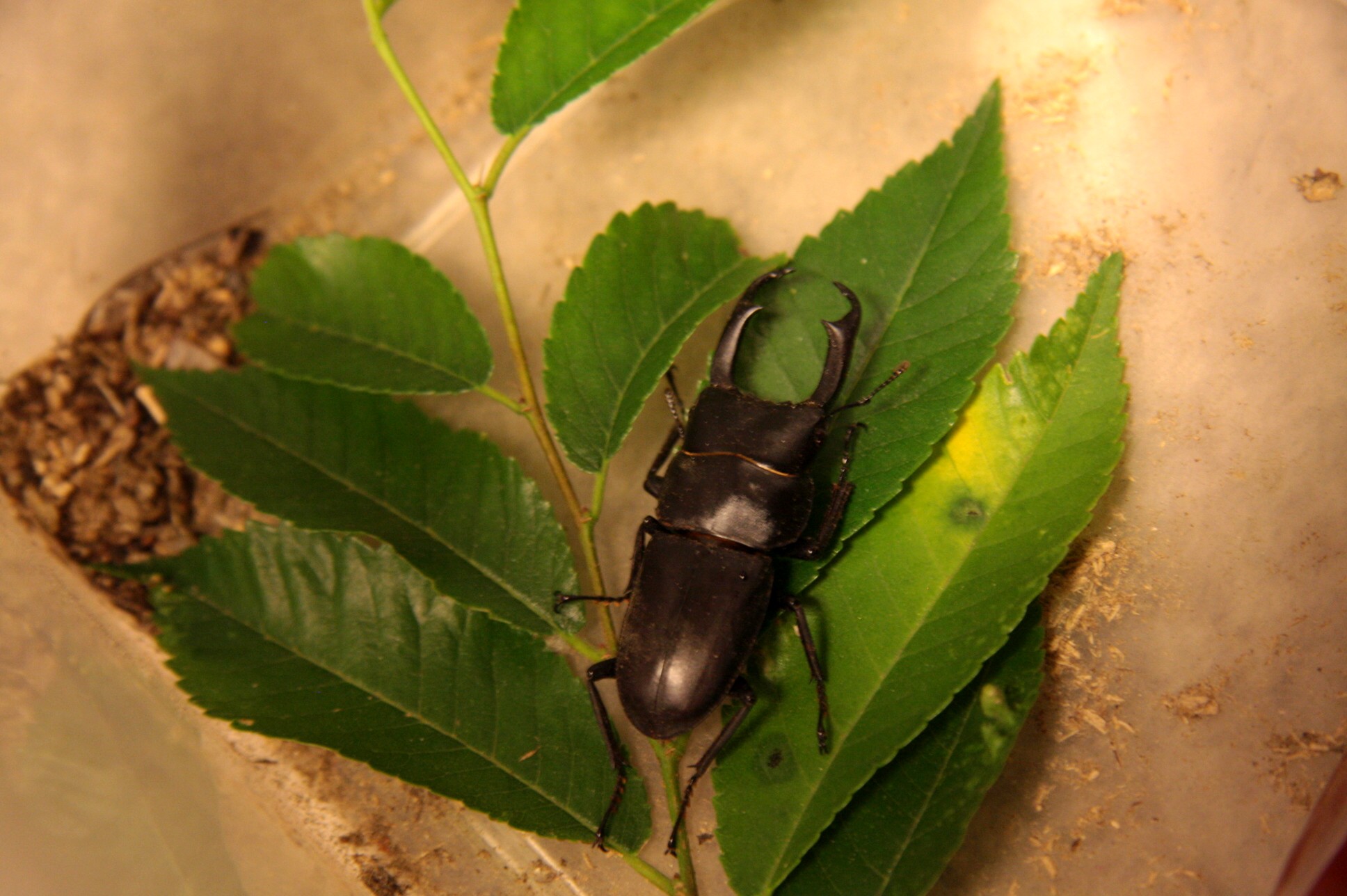 ファイル 225-5.jpg