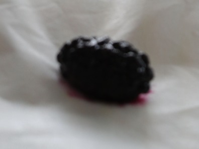 ファイル 226-1.jpg