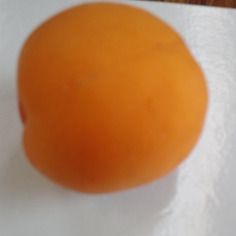 ファイル 226-2.jpg