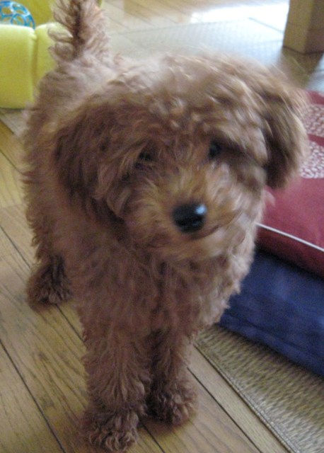 ファイル 227-1.jpg