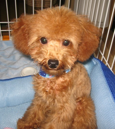 ファイル 227-2.jpg