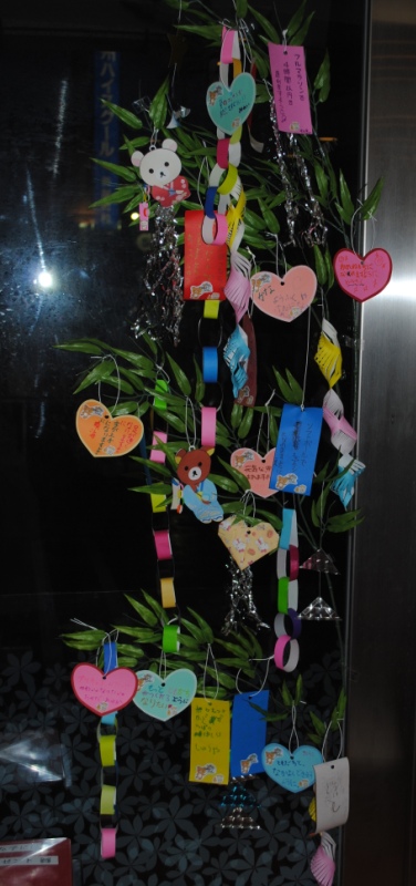 ファイル 232-1.jpg