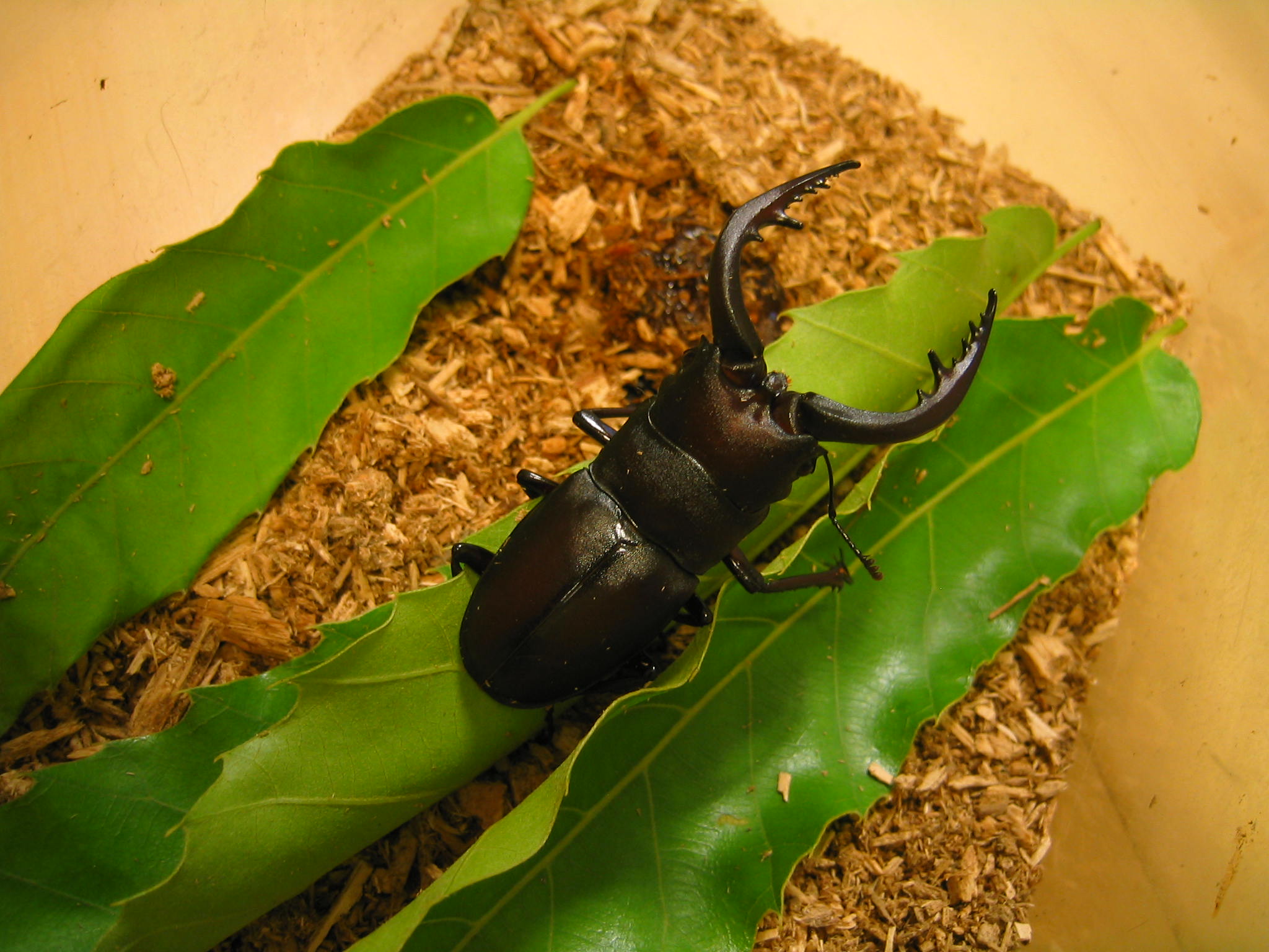 ファイル 235-2.jpg