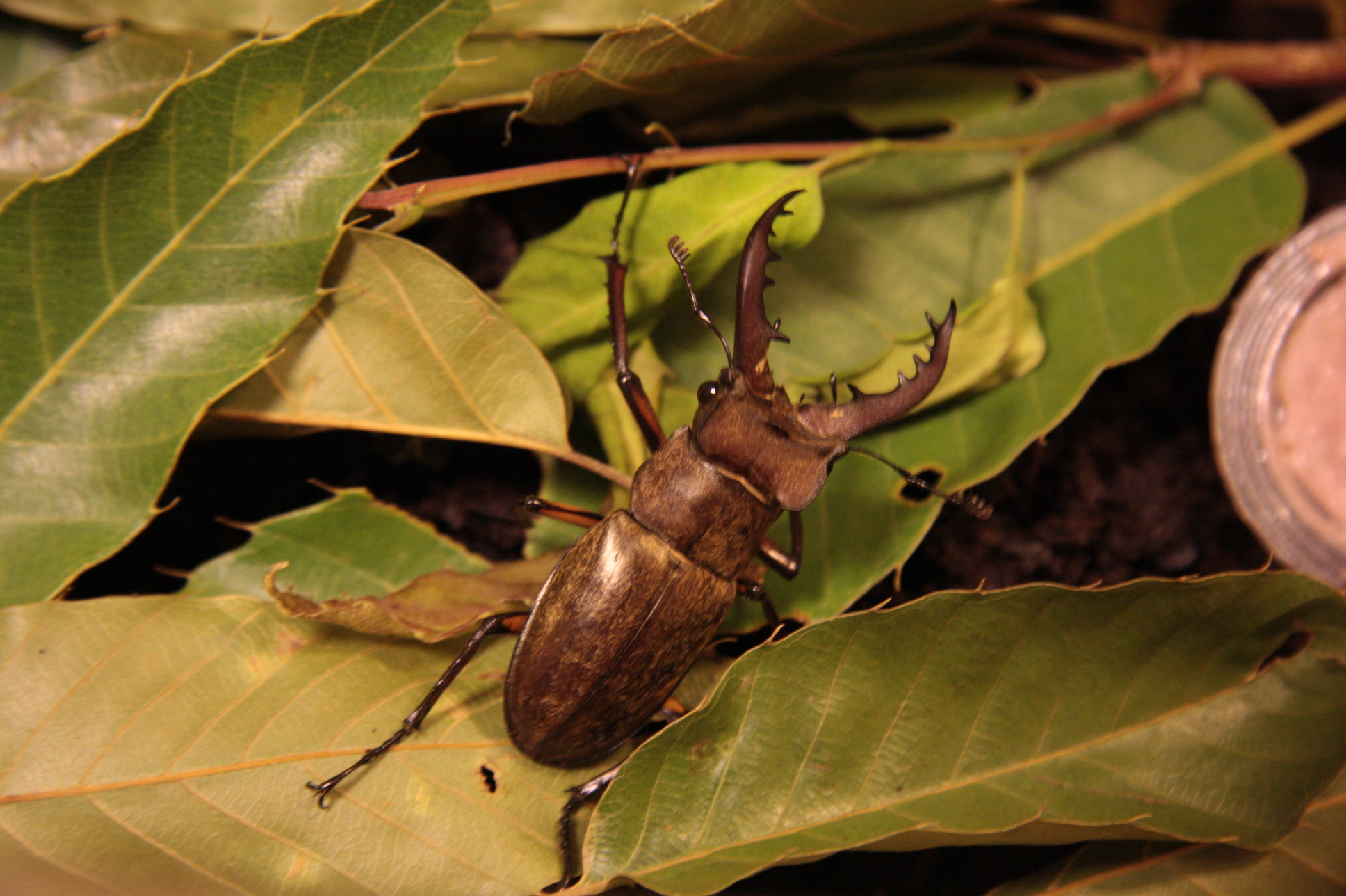 ファイル 235-3.jpg