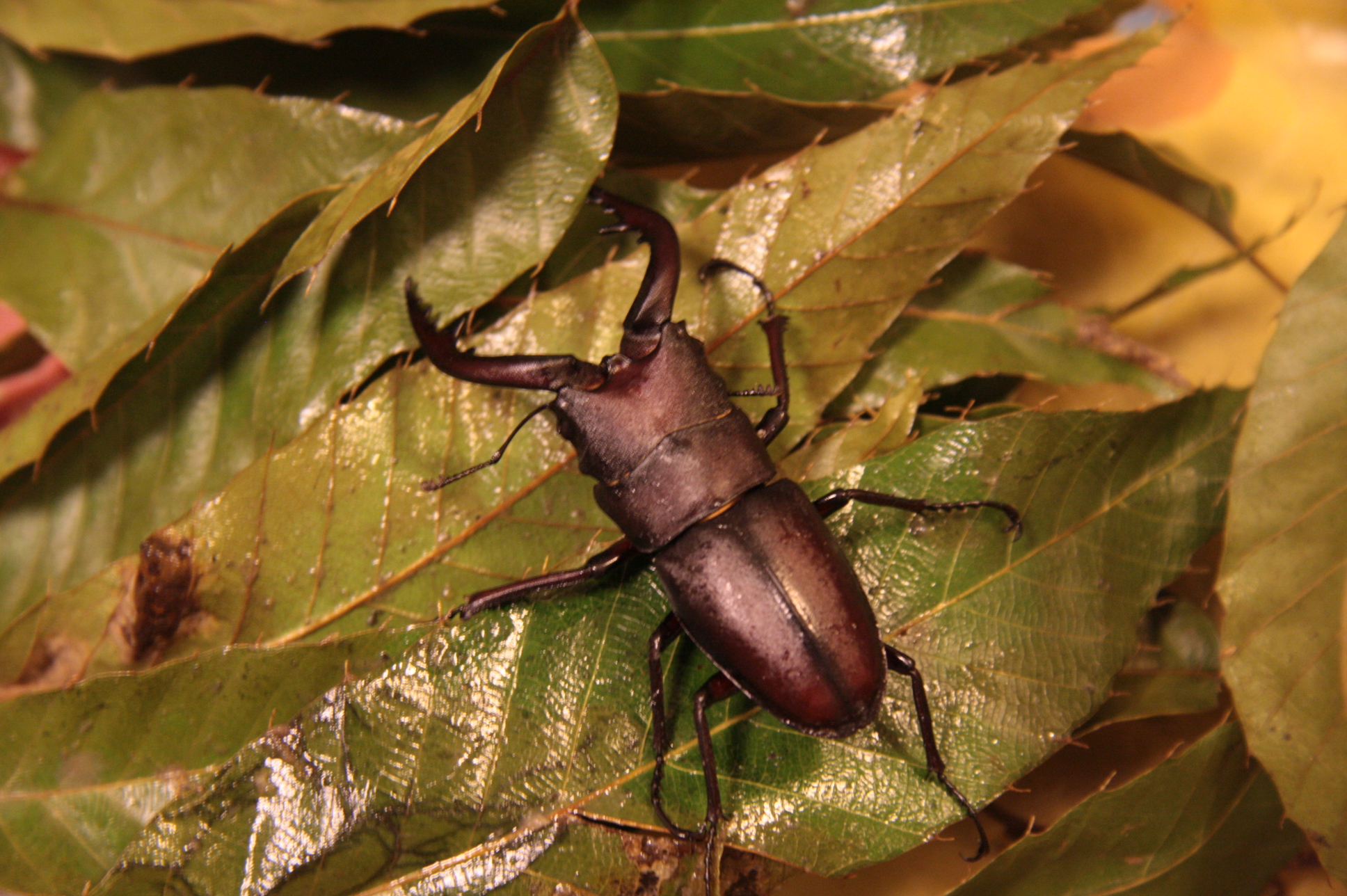 ファイル 235-4.jpg