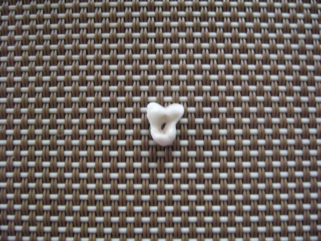 ファイル 237-2.jpg