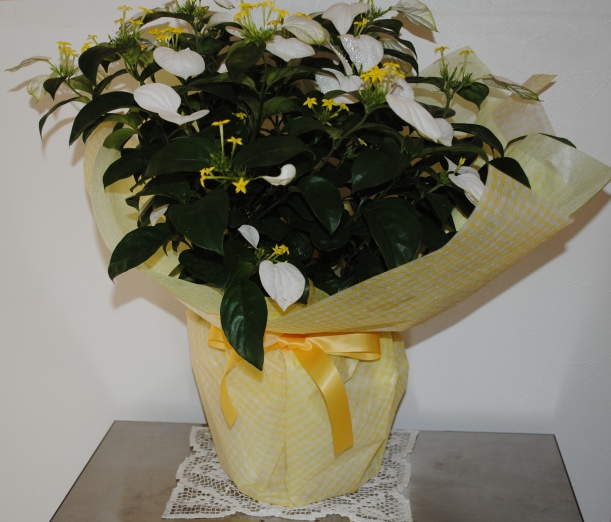 ファイル 238-1.jpg