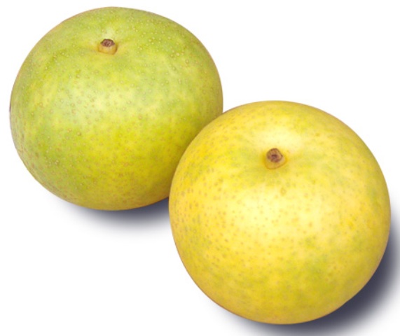 ファイル 24-1.jpg