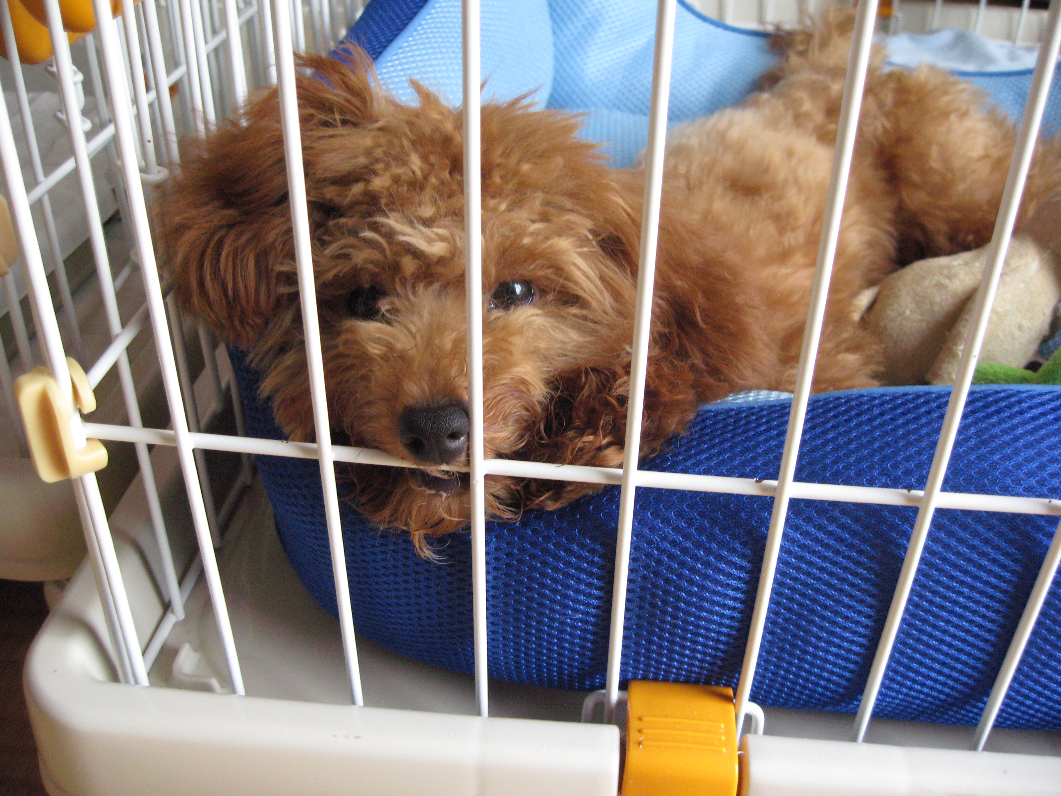 ファイル 243-1.jpg