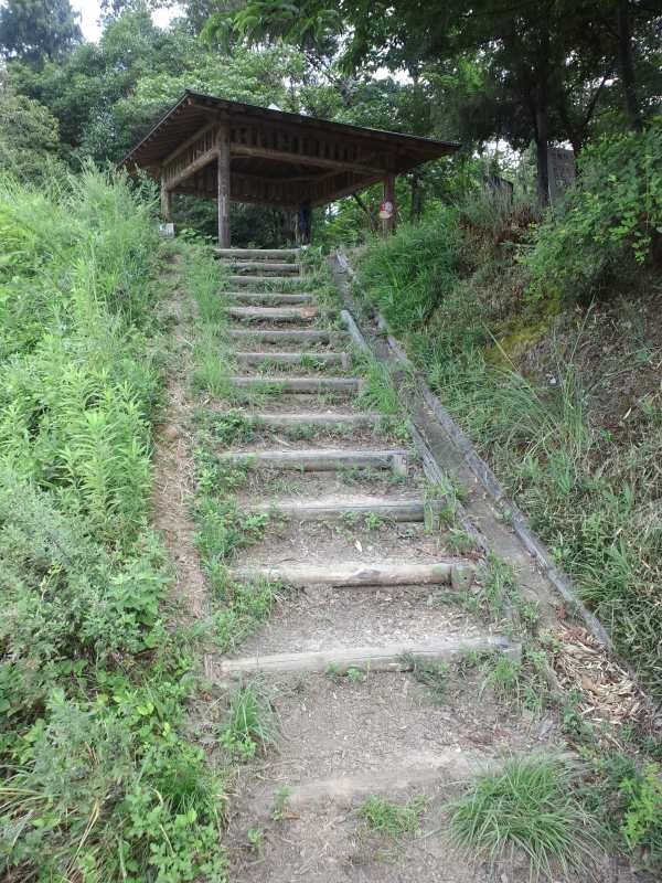 ファイル 244-2.jpg