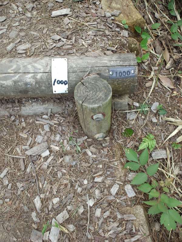 ファイル 244-3.jpg