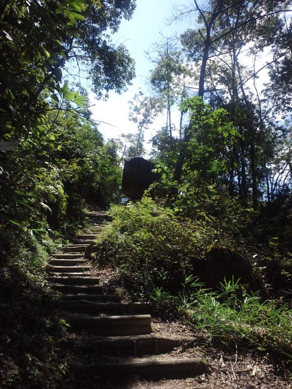 ファイル 244-4.jpg