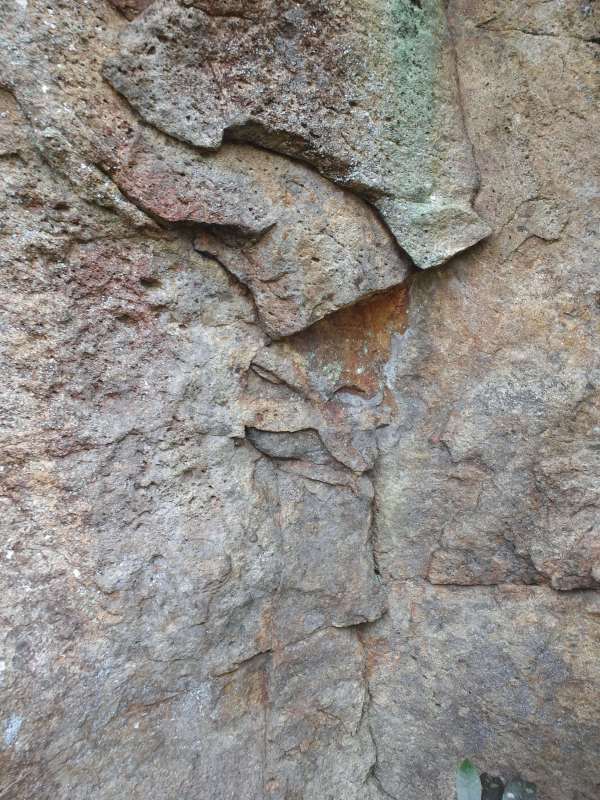 ファイル 245-1.jpg