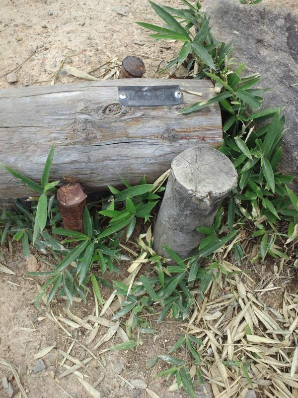 ファイル 245-3.jpg