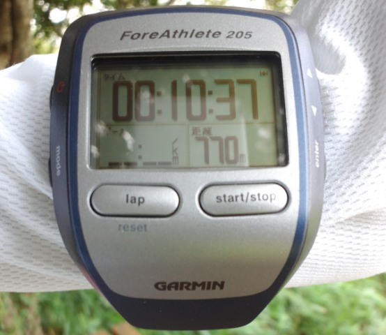 ファイル 245-5.jpg