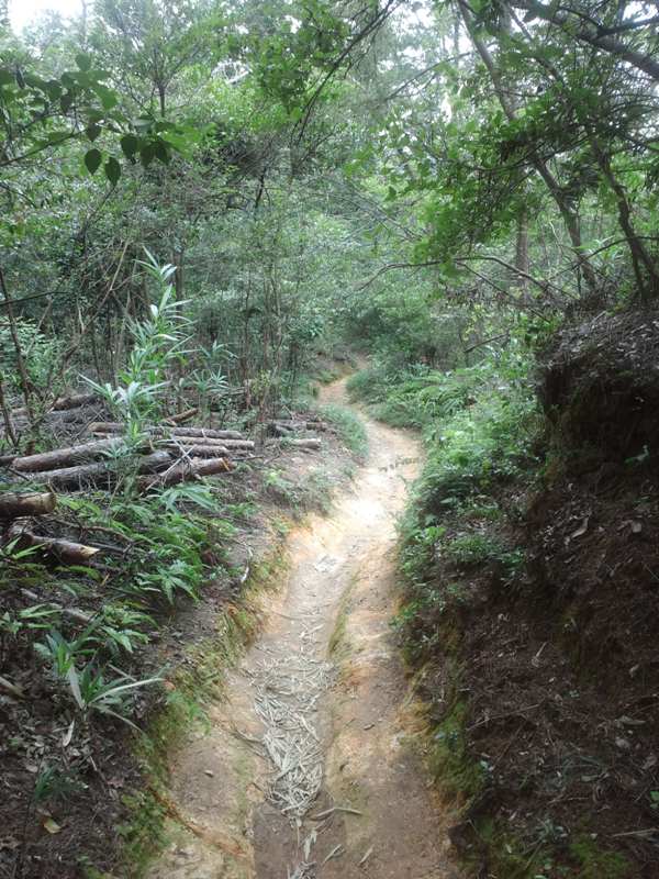 ファイル 246-2.jpg