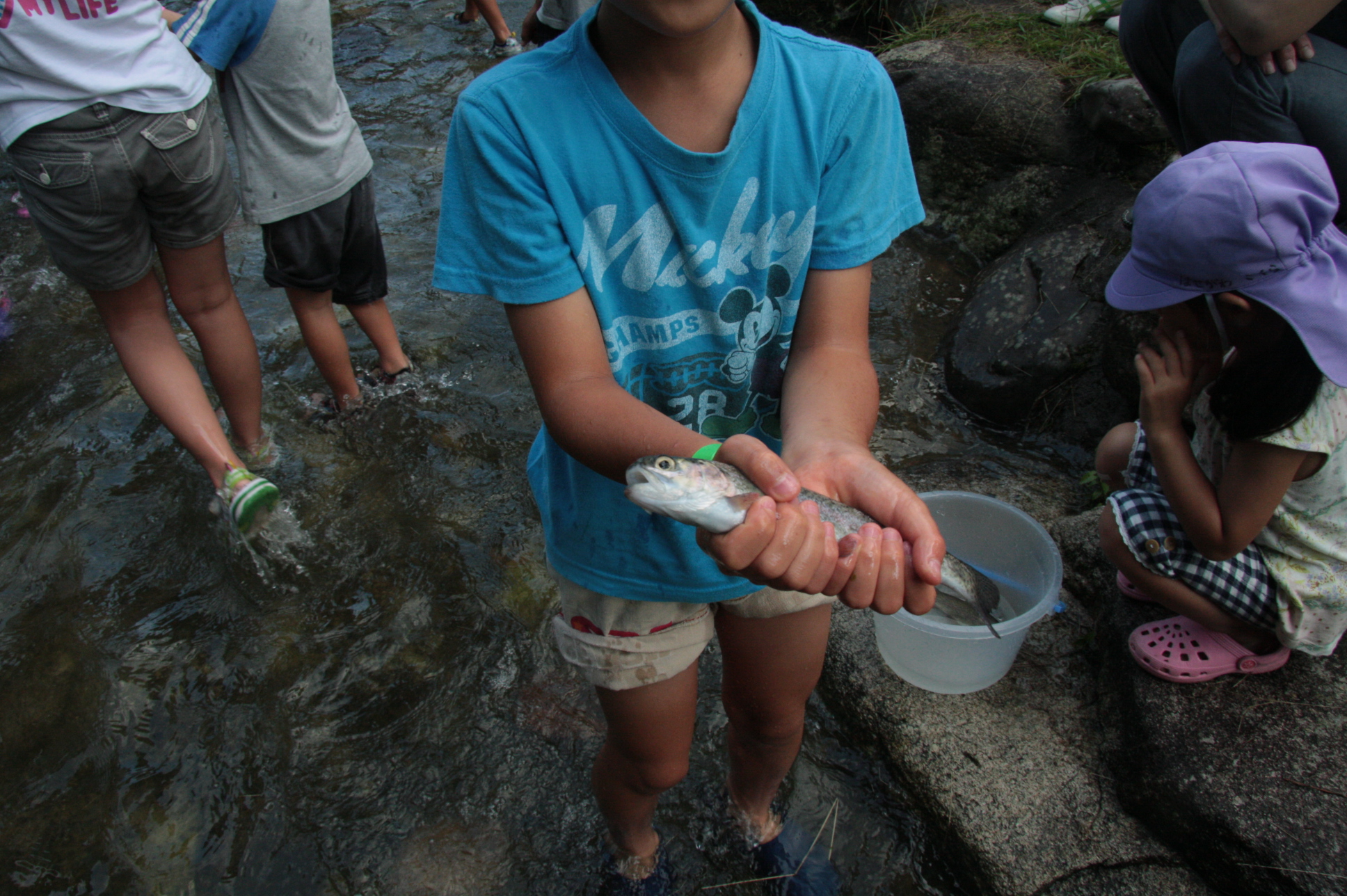 ファイル 248-3.jpg