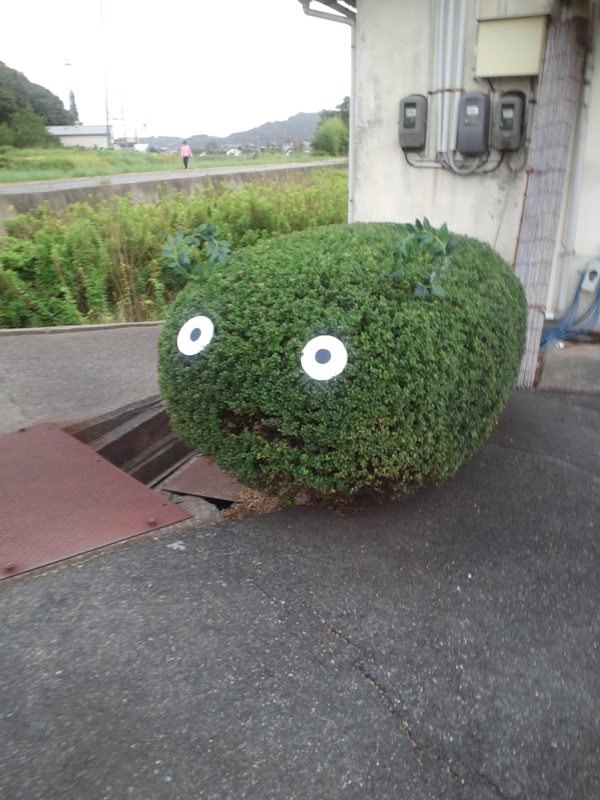 ファイル 255-1.jpg