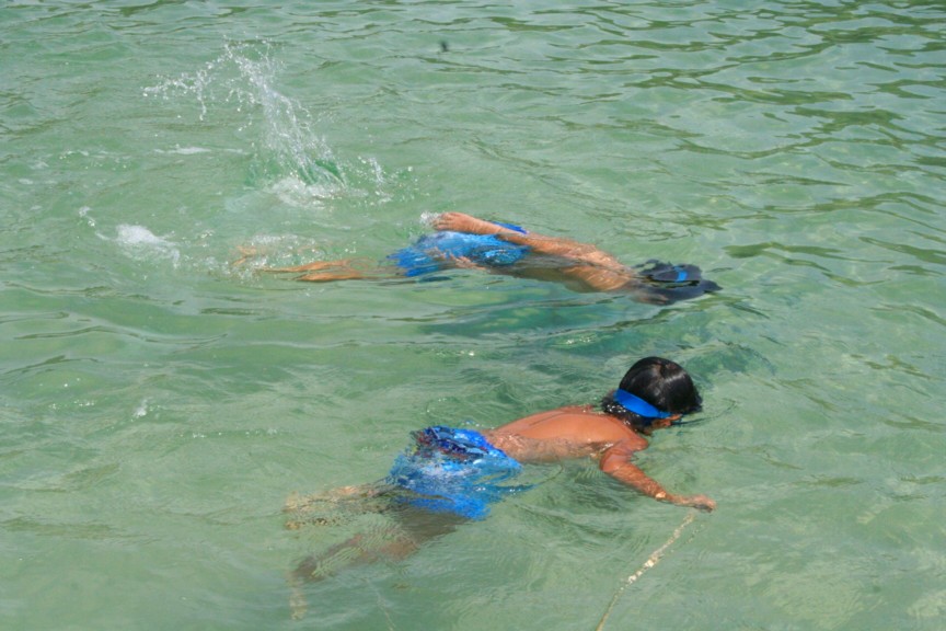 ファイル 256-2.jpg