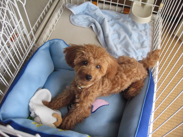 ファイル 259-2.jpg