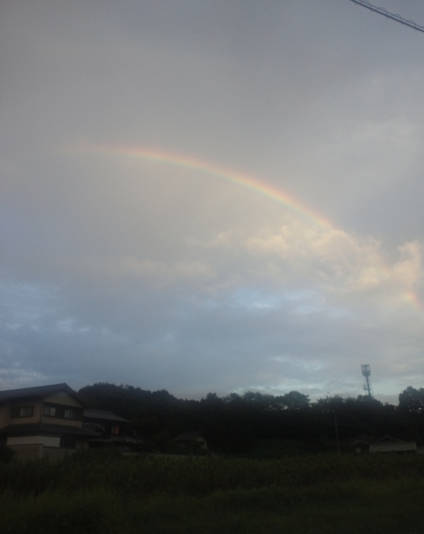 ファイル 261-1.jpg