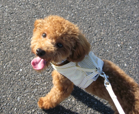 ファイル 264-1.jpg