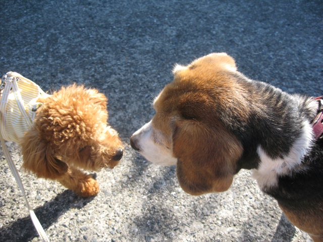 ファイル 264-2.jpg