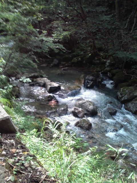 ファイル 268-2.jpg