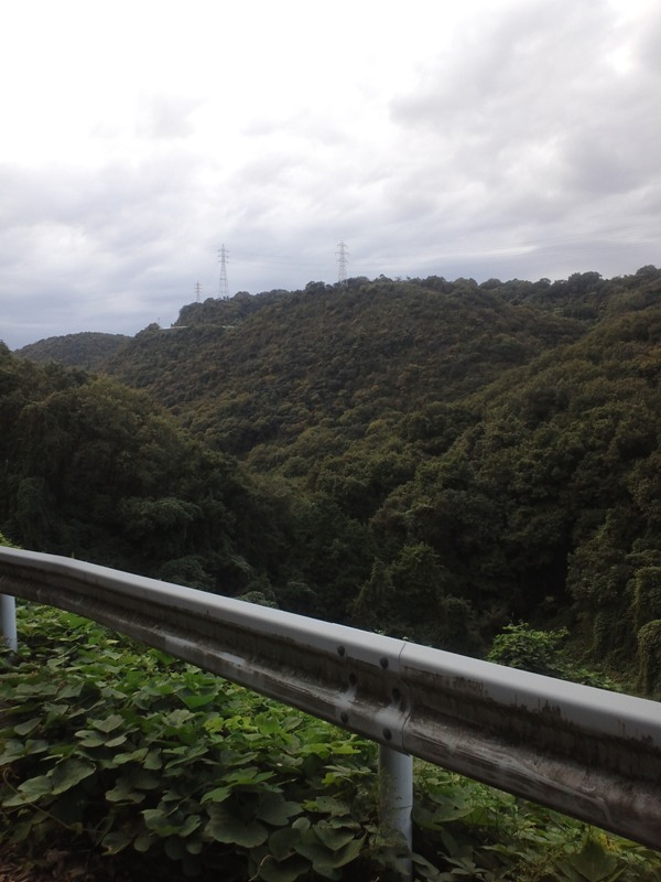 ファイル 269-1.jpg