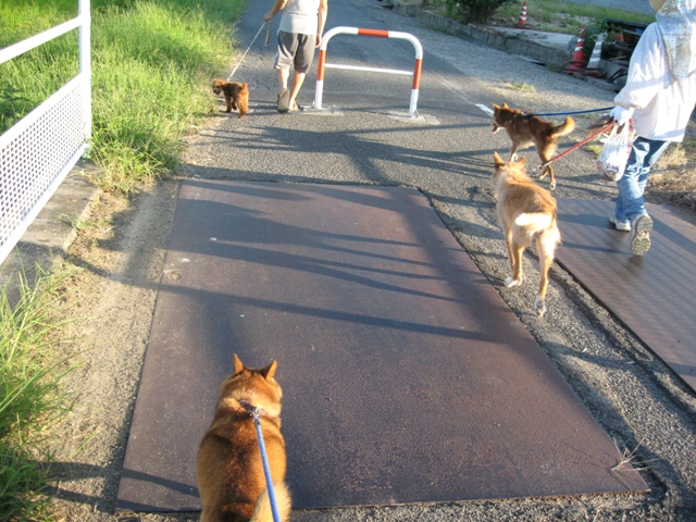 ファイル 272-1.jpg