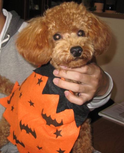 ファイル 274-1.jpg